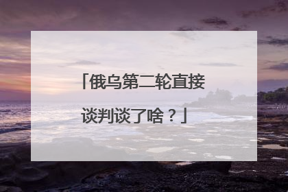 俄乌第二轮直接谈判谈了啥？