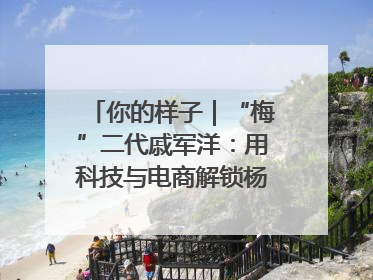你的样子｜“梅”二代戚军洋：用科技与电商解锁杨梅新赛道