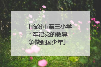 临汾市第三小学：牢记党的教导 争做强国少年