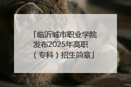 临沂城市职业学院发布2025年高职（专科）招生简章