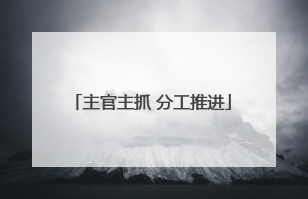 主官主抓 分工推进