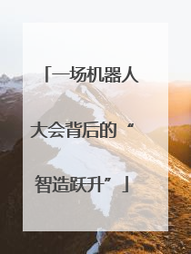 一场机器人大会背后的“智造跃升”