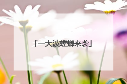 一大波螳螂来袭