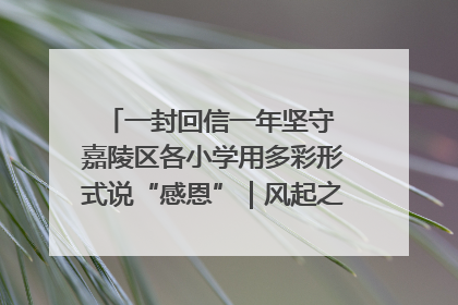 一封回信一年坚守 嘉陵区各小学用多彩形式说“感恩”｜风起之江 扶摇直上