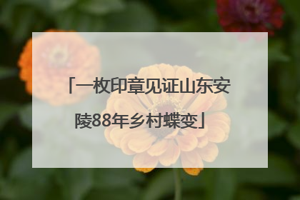 一枚印章见证山东安陵88年乡村蝶变