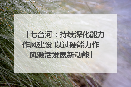 七台河：持续深化能力作风建设 以过硬能力作风激活发展新动能