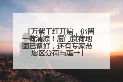 万紫千红开遍，仍留一荷清凉！厦门赏荷地图已备好，还有专家带您区分荷与莲→