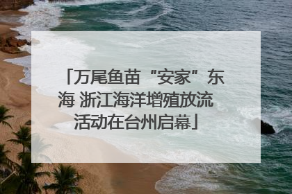 万尾鱼苗“安家”东海 浙江海洋增殖放流活动在台州启幕