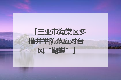 三亚市海棠区多措并举防范应对台风“蝴蝶”