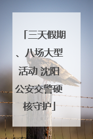三天假期、八场大型活动 沈阳公安交警硬核守护