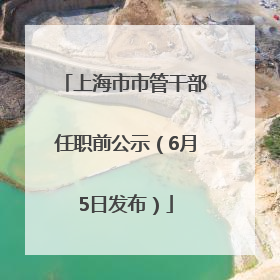 上海市市管干部任职前公示（6月5日发布）