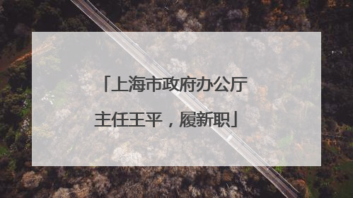 上海市政府办公厅主任王平，履新职