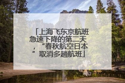 上海飞东京航班急速下降的第二天，“春秋航空日本”取消多趟航班