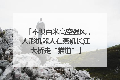 不惧百米高空强风，人形机器人在燕矶长江大桥走“猫道”