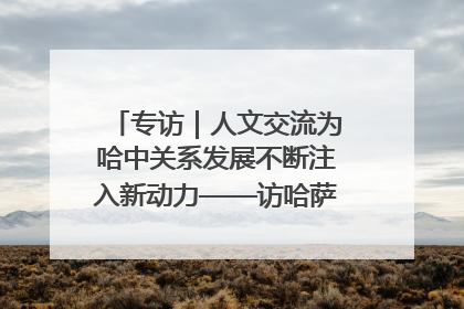 专访｜人文交流为哈中关系发展不断注入新动力——访哈萨克斯坦文化与信息部部长巴拉耶娃
