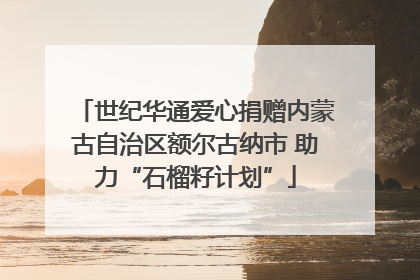 世纪华通爱心捐赠内蒙古自治区额尔古纳市 助力“石榴籽计划”