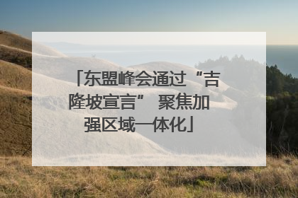 东盟峰会通过“吉隆坡宣言” 聚焦加强区域一体化