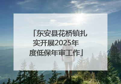 东安县花桥镇扎实开展2025年度低保年审工作