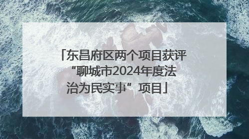 东昌府区两个项目获评“聊城市2024年度法治为民实事”项目