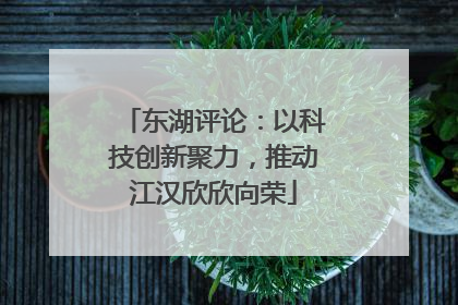 东湖评论：以科技创新聚力，推动江汉欣欣向荣