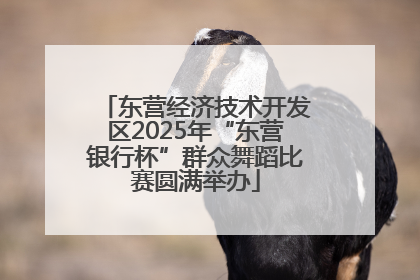 东营经济技术开发区2025年“东营银行杯”群众舞蹈比赛圆满举办