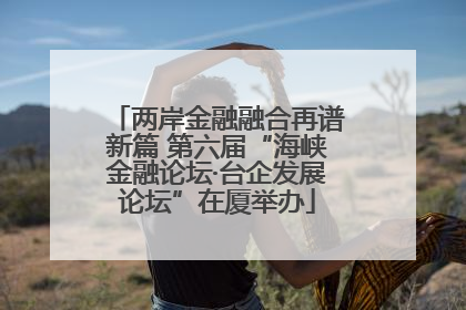 两岸金融融合再谱新篇 第六届“海峡金融论坛·台企发展论坛”在厦举办