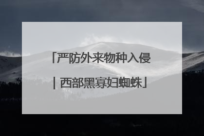 严防外来物种入侵｜西部黑寡妇蜘蛛