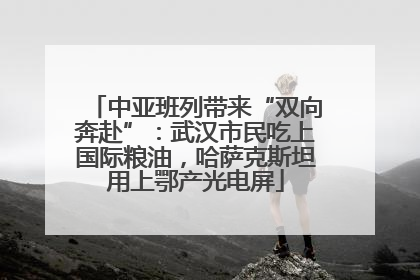 中亚班列带来“双向奔赴”：武汉市民吃上国际粮油，哈萨克斯坦用上鄂产光电屏