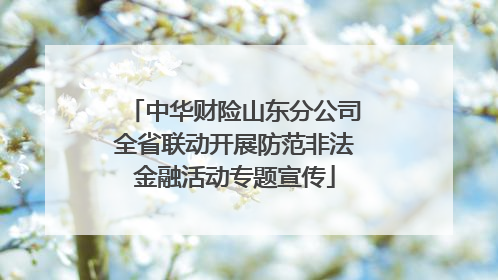 中华财险山东分公司全省联动开展防范非法金融活动专题宣传