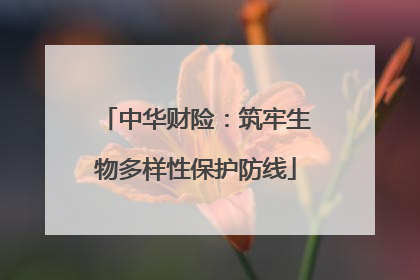 中华财险：筑牢生物多样性保护防线
