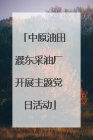 中原油田濮东采油厂开展主题党日活动