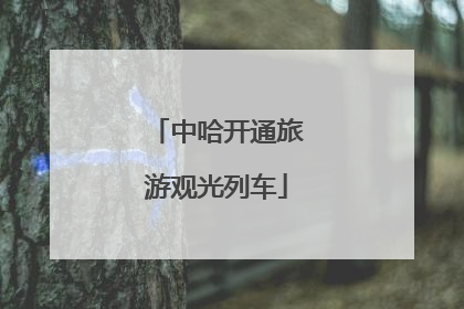中哈开通旅游观光列车