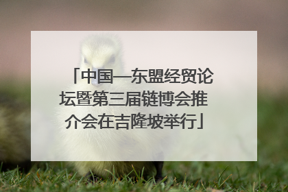 中国—东盟经贸论坛暨第三届链博会推介会在吉隆坡举行