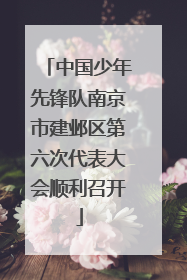 中国少年先锋队南京市建邺区第六次代表大会顺利召开