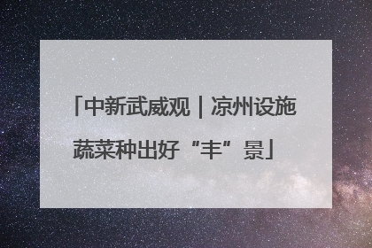 中新武威观｜凉州设施蔬菜种出好“丰”景