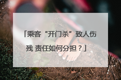 乘客“开门杀”致人伤残 责任如何分担？