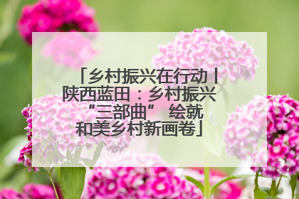 乡村振兴在行动丨陕西蓝田：乡村振兴 “三部曲” 绘就和美乡村新画卷