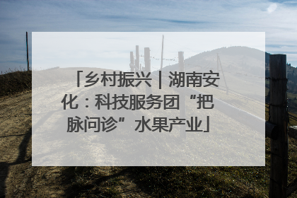 乡村振兴｜湖南安化：科技服务团“把脉问诊”水果产业