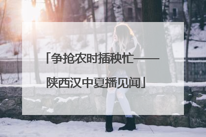 争抢农时插秧忙——陕西汉中夏播见闻