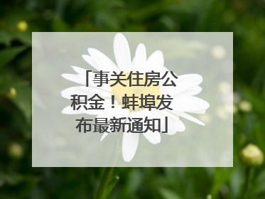 事关住房公积金！蚌埠发布最新通知