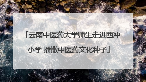 云南中医药大学师生走进西冲小学 播撒中医药文化种子