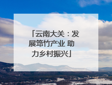 云南大关：发展筇竹产业 助力乡村振兴