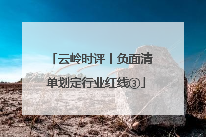 云岭时评丨负面清单划定行业红线③
