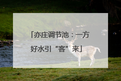 亦庄调节池：一方好水引“客”来