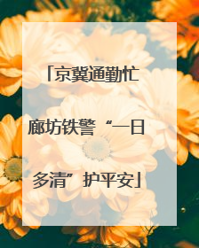 京冀通勤忙 廊坊铁警“一日多清”护平安