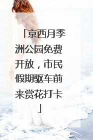 京西月季洲公园免费开放，市民假期驱车前来赏花打卡