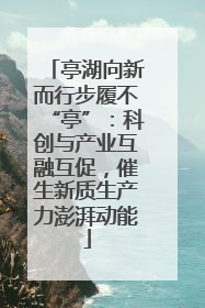 亭湖向新而行步履不“亭”：科创与产业互融互促，催生新质生产力澎湃动能