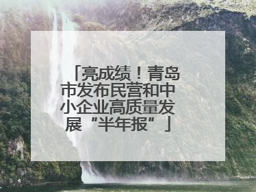 亮成绩！青岛市发布民营和中小企业高质量发展“半年报”