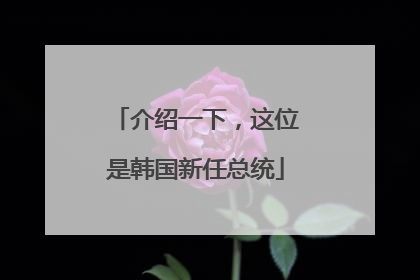 介绍一下，这位是韩国新任总统