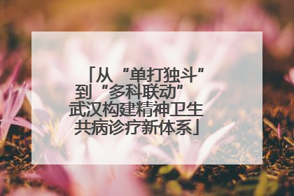 从“单打独斗”到“多科联动” 武汉构建精神卫生共病诊疗新体系